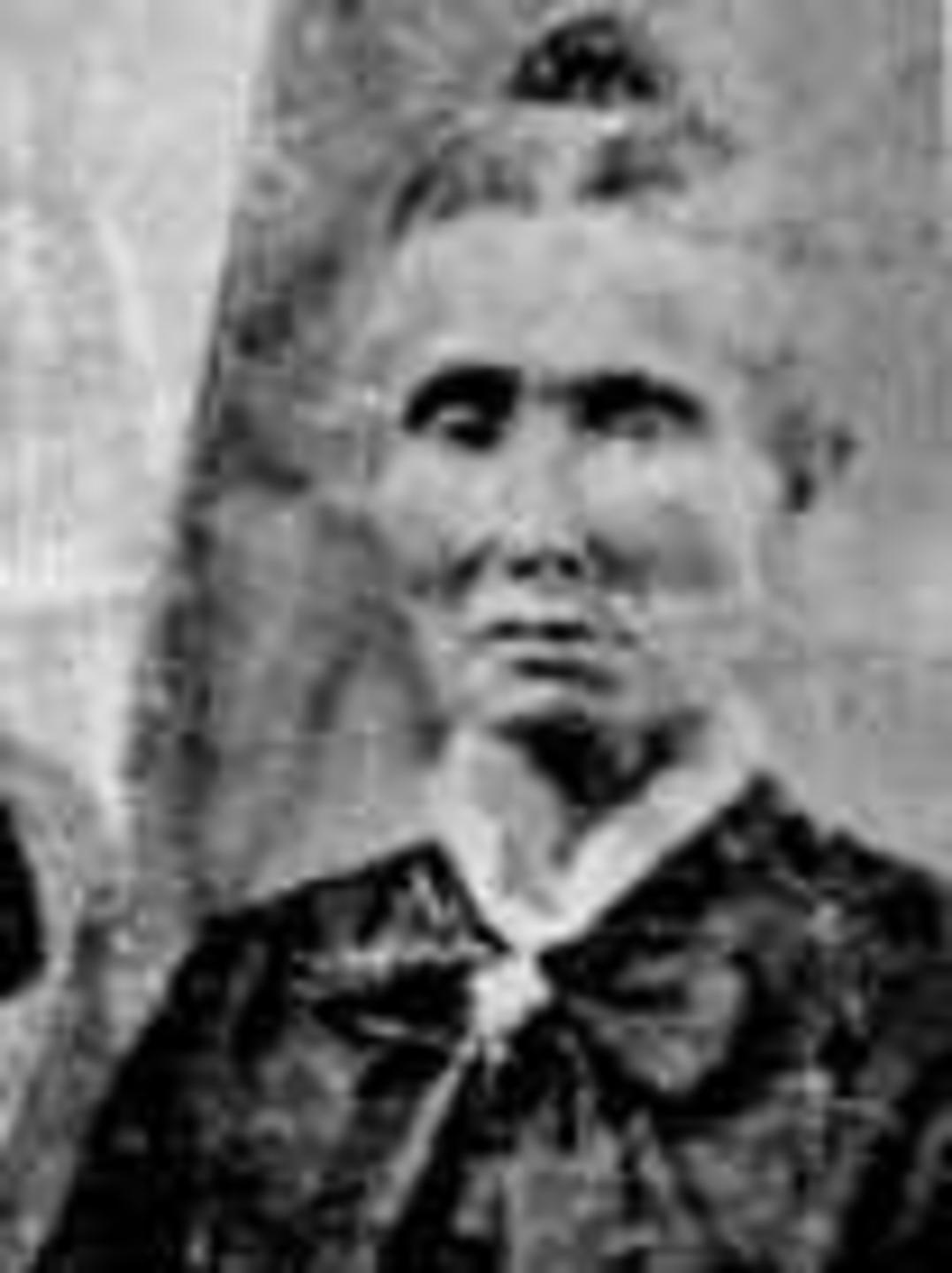 Susan Ann Winegar (1825 - 1890) Profile